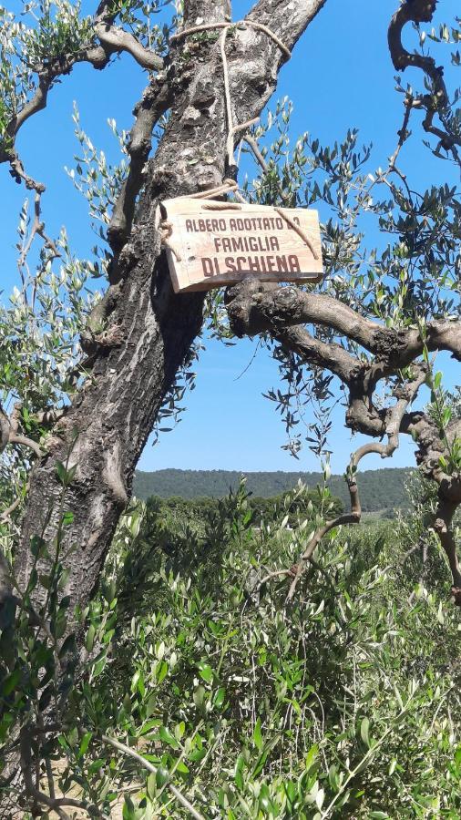 Alba Del Gargano Home Весте Екстериор снимка