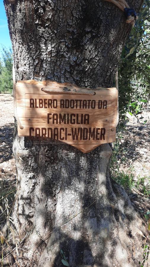 Alba Del Gargano Home Весте Екстериор снимка